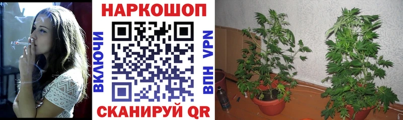 Купить наркотик Мышкин КОКАИН  Амфетамин  ГАШИШ 