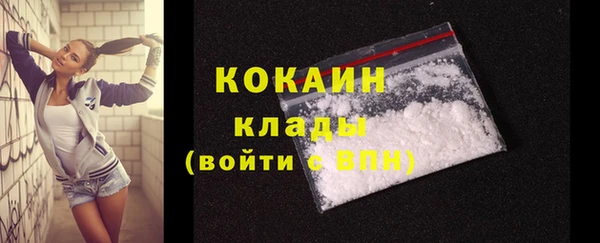 хмурый Магас