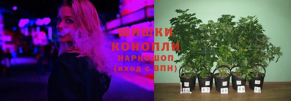 хмурый Магас