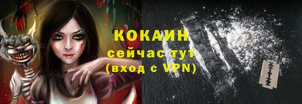 хмурый Магас