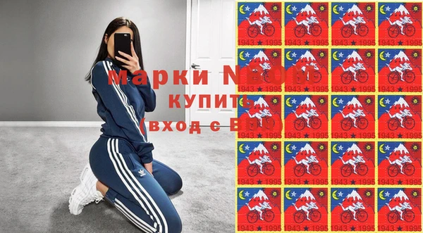 хмурый Магас