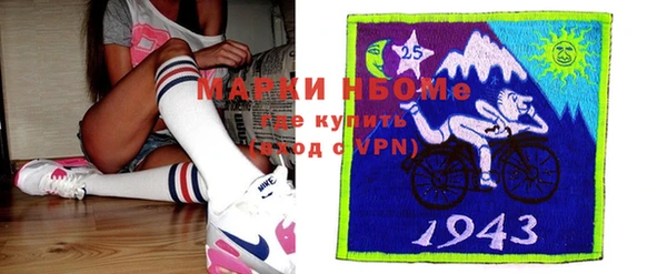 хмурый Магас