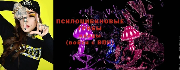 хмурый Магас