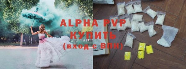 хмурый Магас