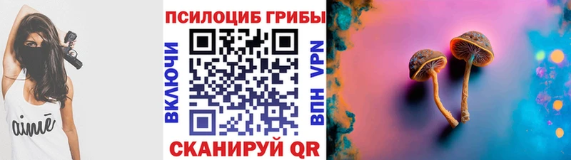 Псилоцибиновые грибы Psilocybe  мега ССЫЛКА  Мышкин  что такое  