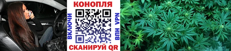 Каннабис OG Kush  Мышкин 